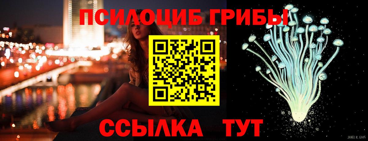 Киржач  Псилоцибиновые грибы MAGIC MUSHROOMS  Вход с VPN 